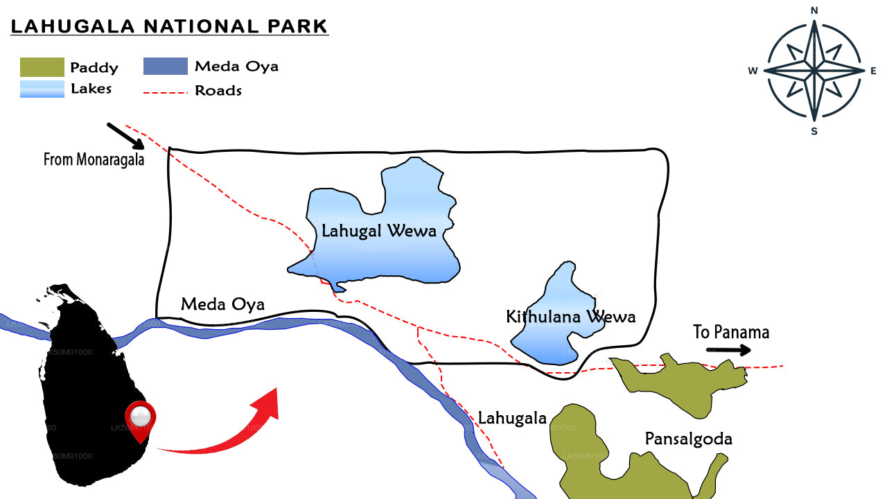 Lahugala Kitulana National Park Private Safari