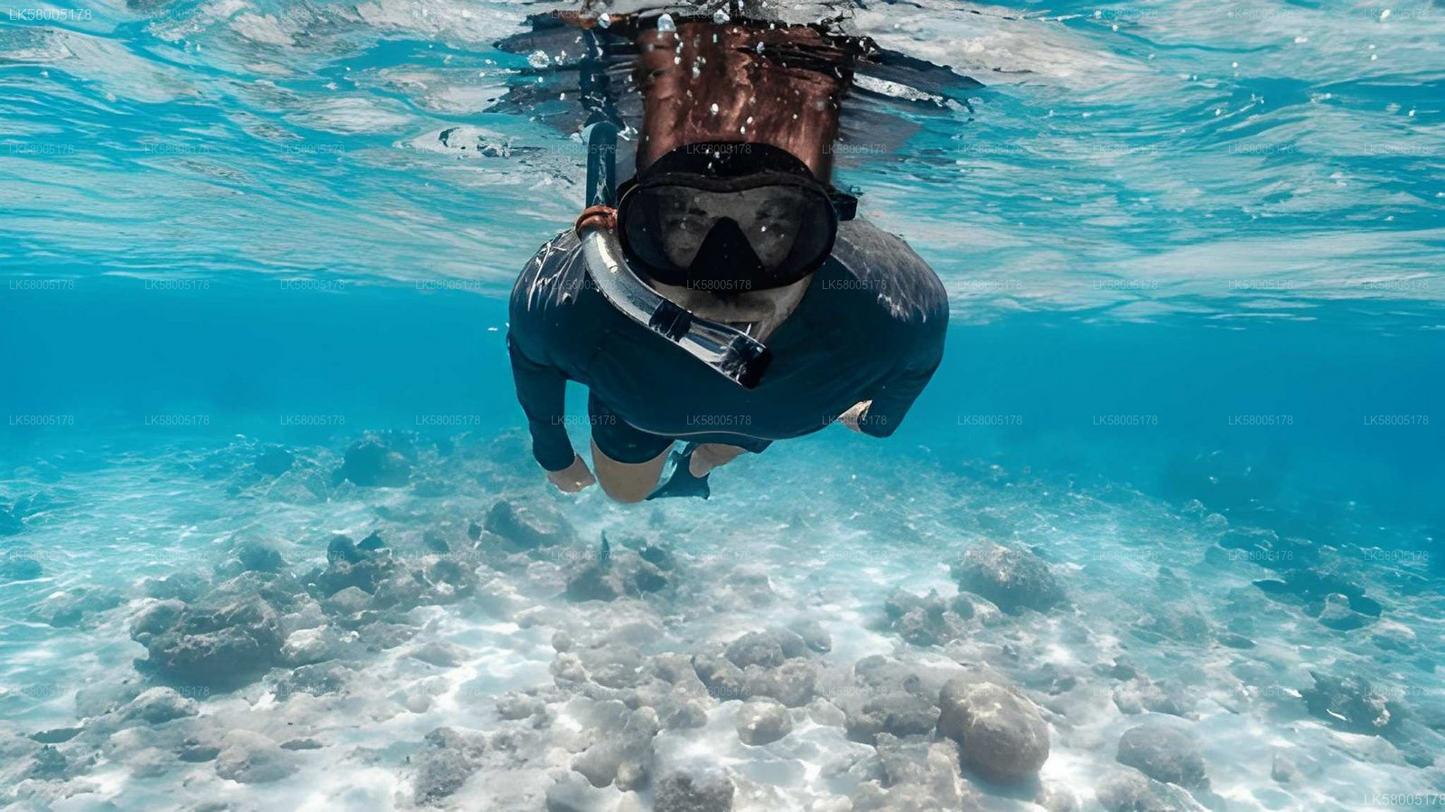Elephant Rock Snorkeling from Pasikudah