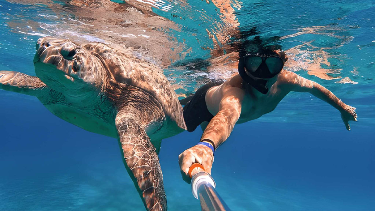 Person snorkeling with a turtle in clear blue water