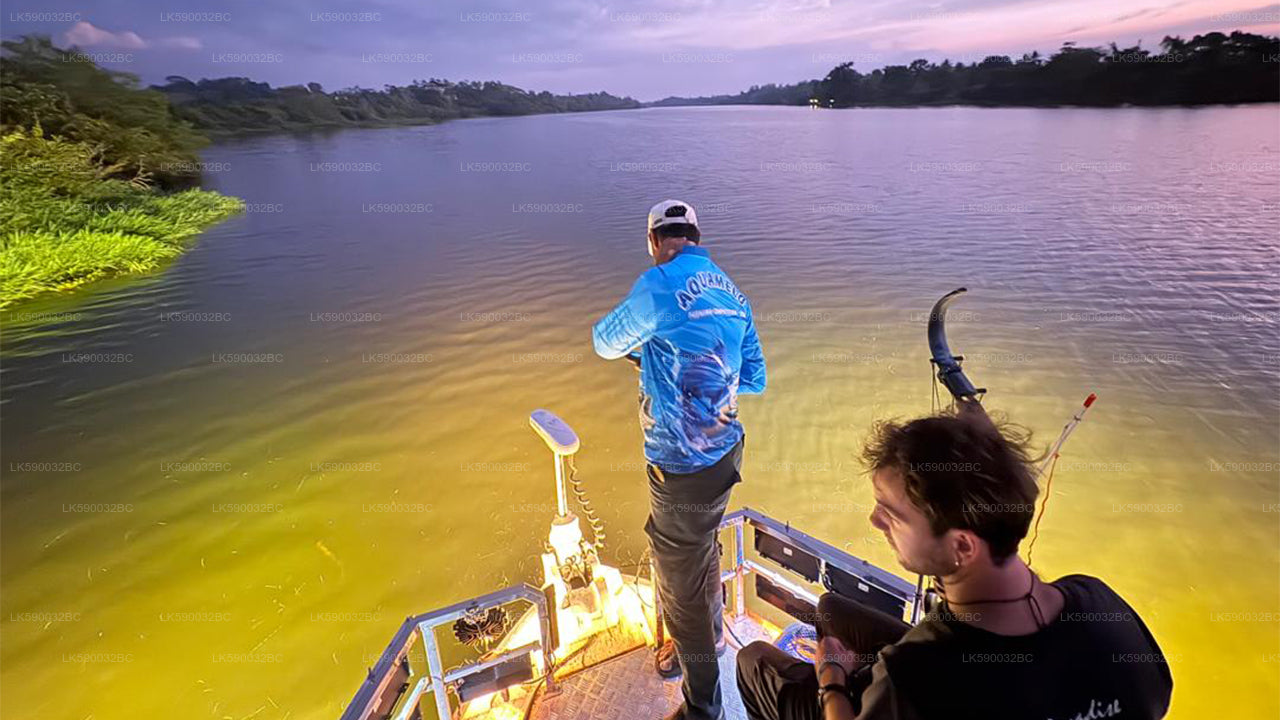 Night Bow Fishing from Bolgoda Lake