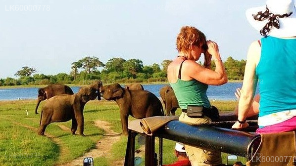 Sigiriya Rock, Village Experience and Wildlife Safari from Trincomalee