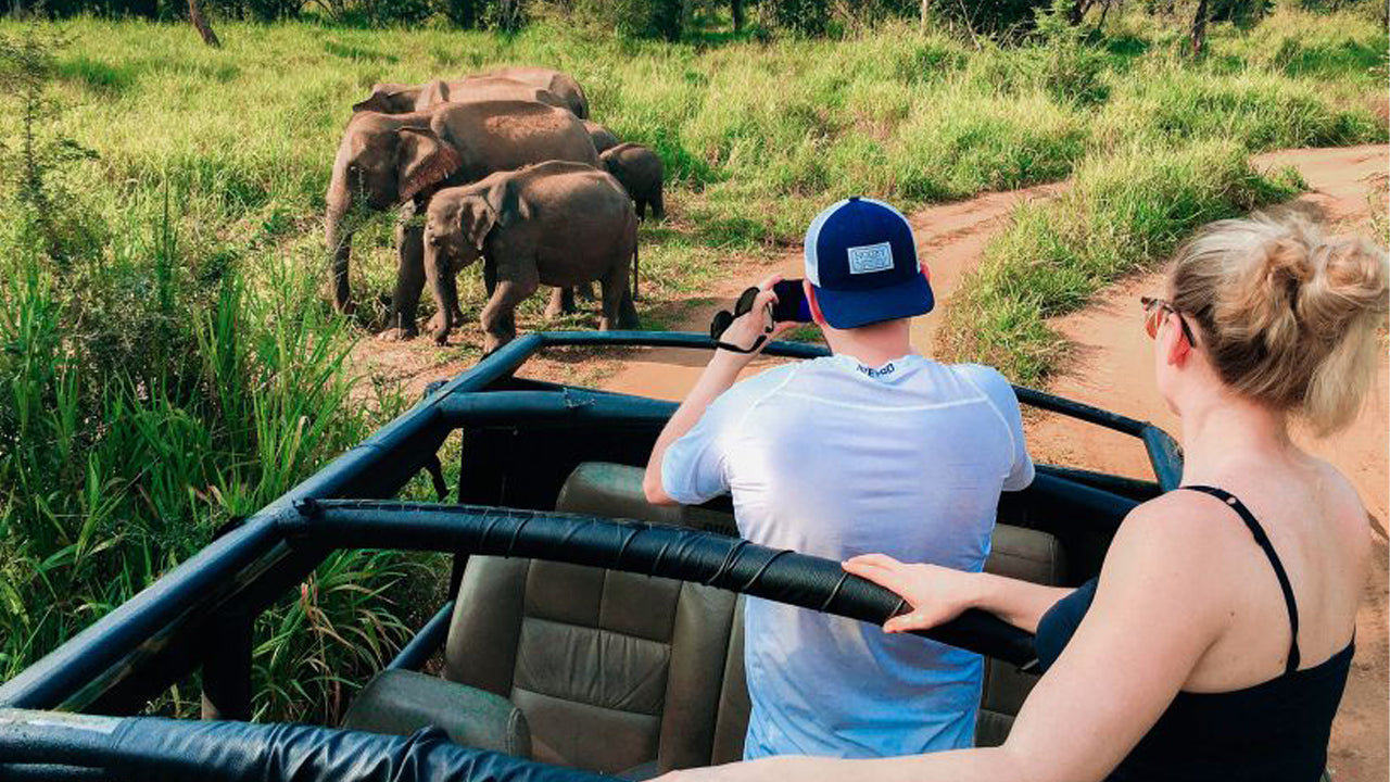 Hurulu Eco Park Safari Day Trip from Pasikuda