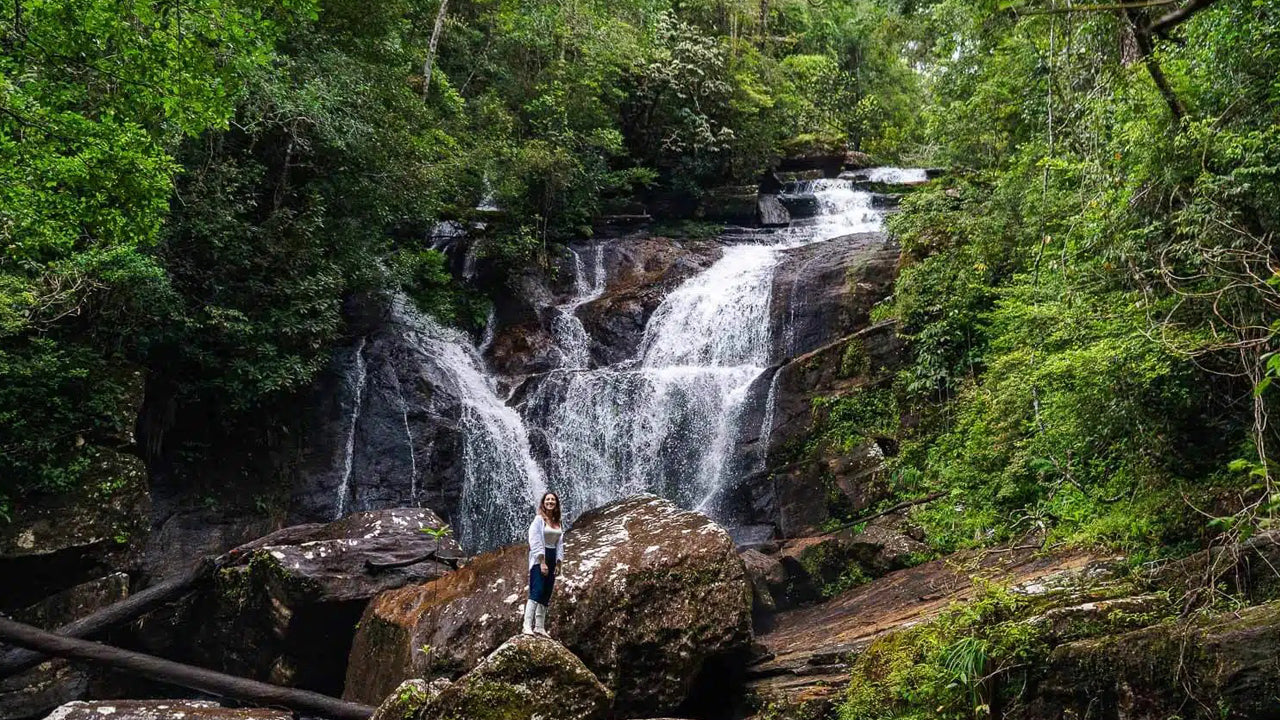 Sinharaja Rainforest Day Trip from Ahangama
