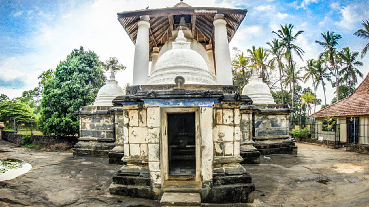 Temple Run Tour from Kandy