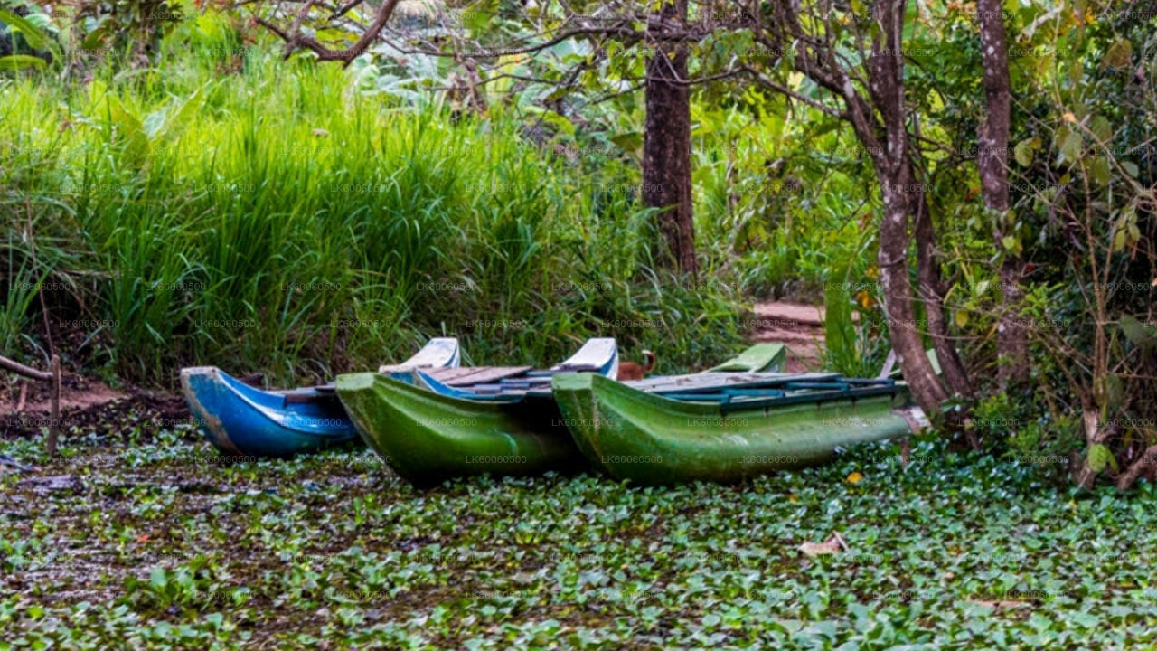 Hiriwadunna Village Tour from Habarana