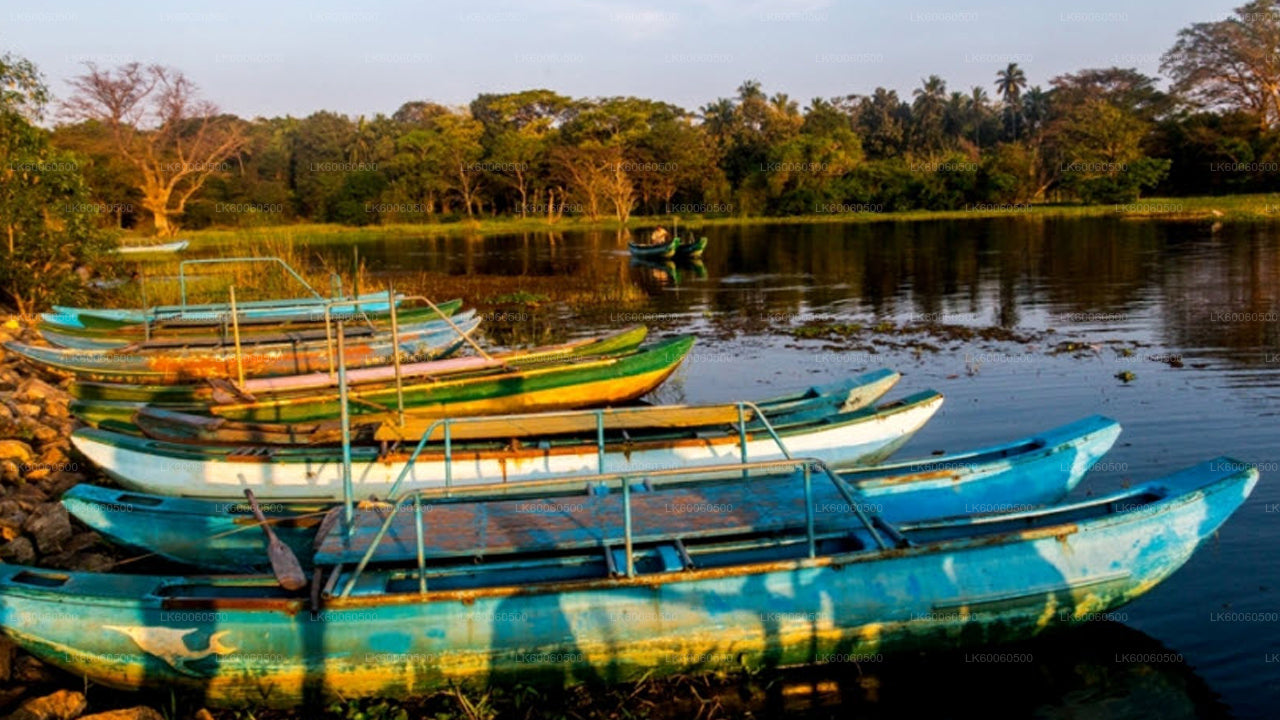 Hiriwadunna Village Tour from Habarana