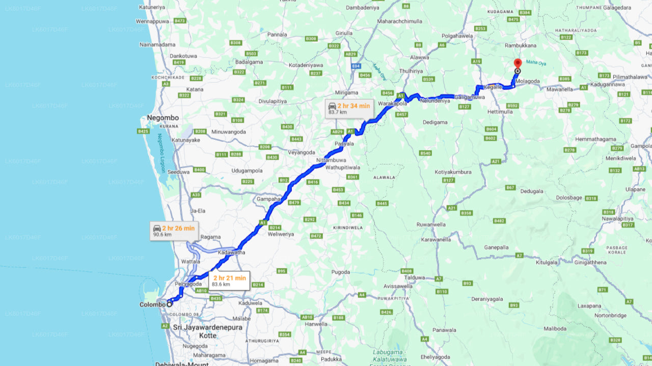 Millennium Elephant Foundation from Colombo