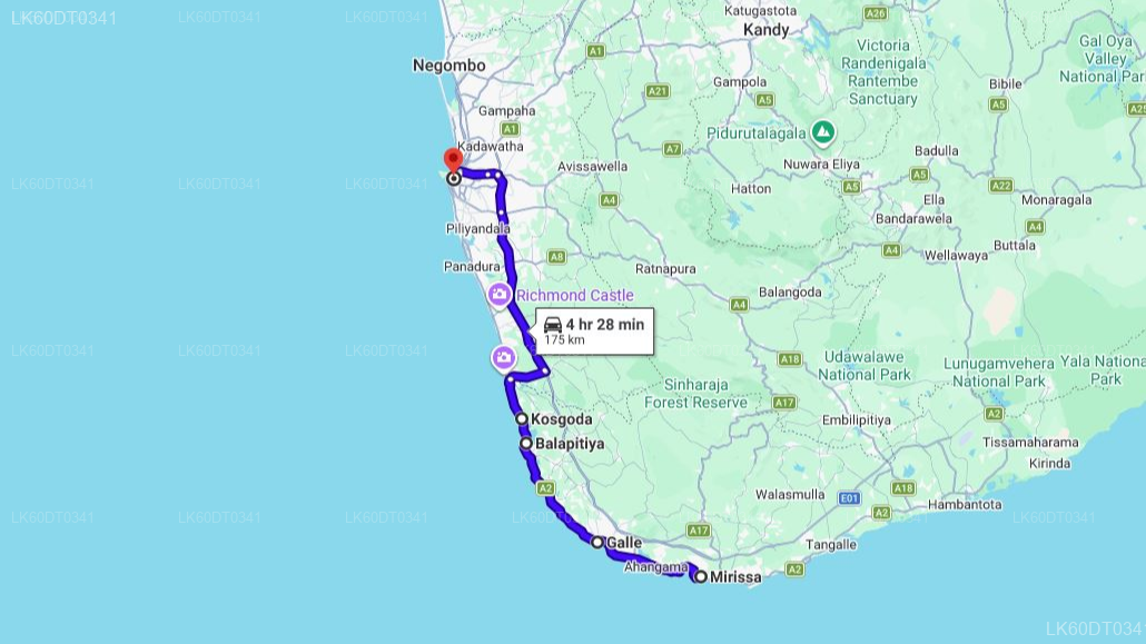 Coastal Transfer from Mirissa to Colombo with Sightseeing Stops