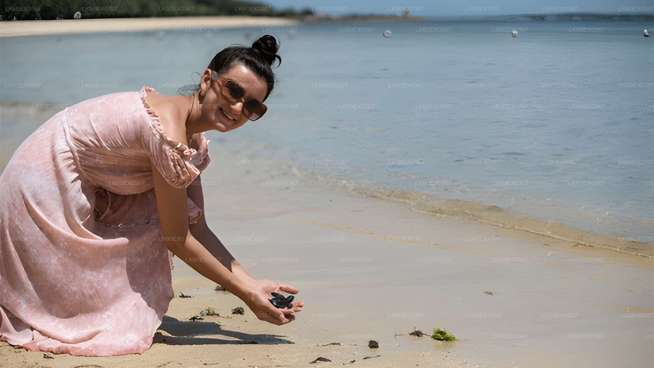 Baby Turtle Release from Tangalle