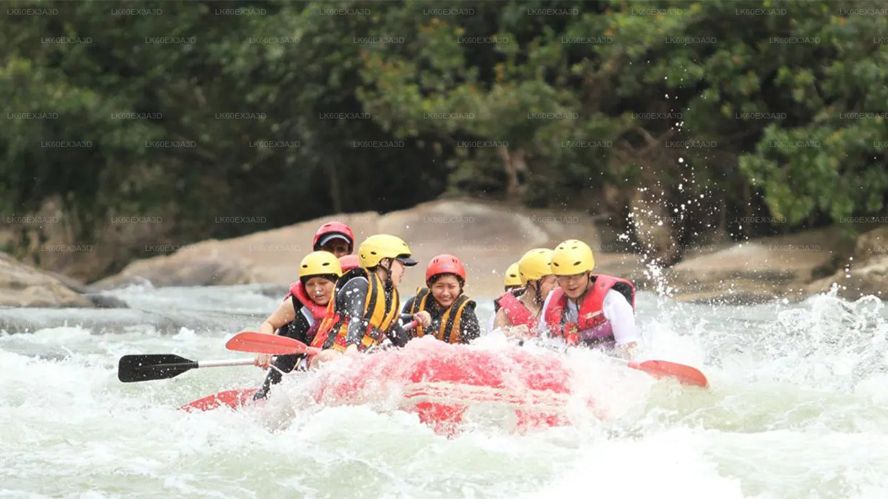 Nuwara Eliya City to Colombo City Private Transfer with Rafting Adventure