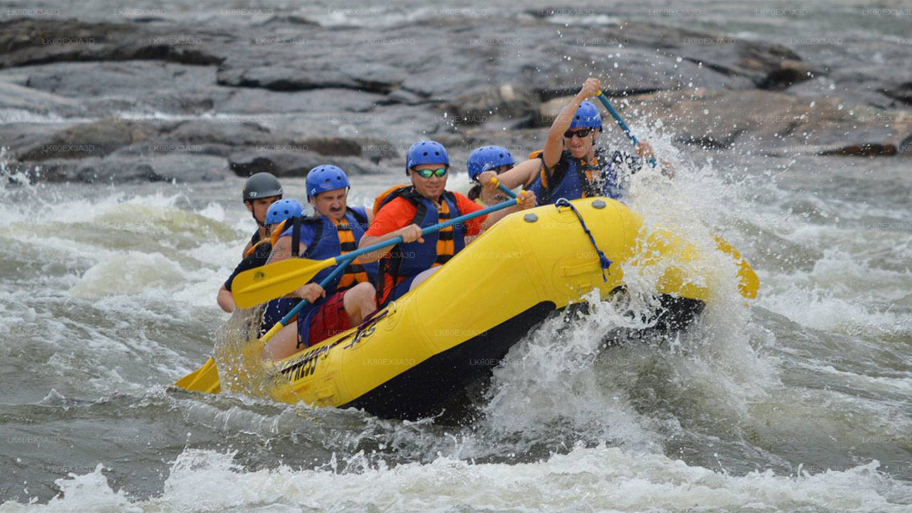 Nuwara Eliya City to Colombo City Private Transfer with Rafting Adventure