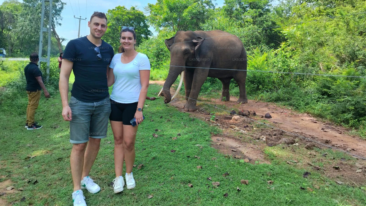 Private Tour from Mirissa to Ella with Udawalawe Safari