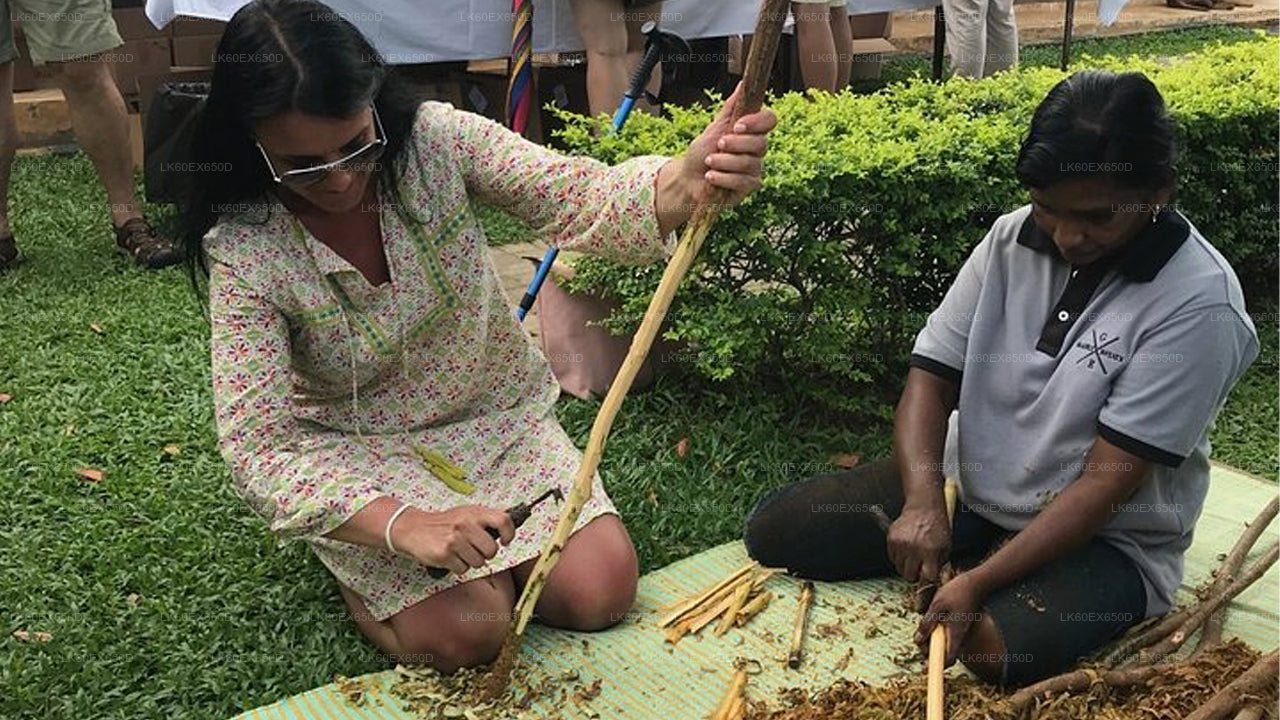 Private Cinnamon Experience from Weligama