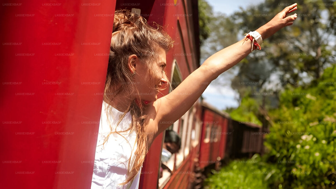 Woman with outstretched arm on a red train surrounded by greenery