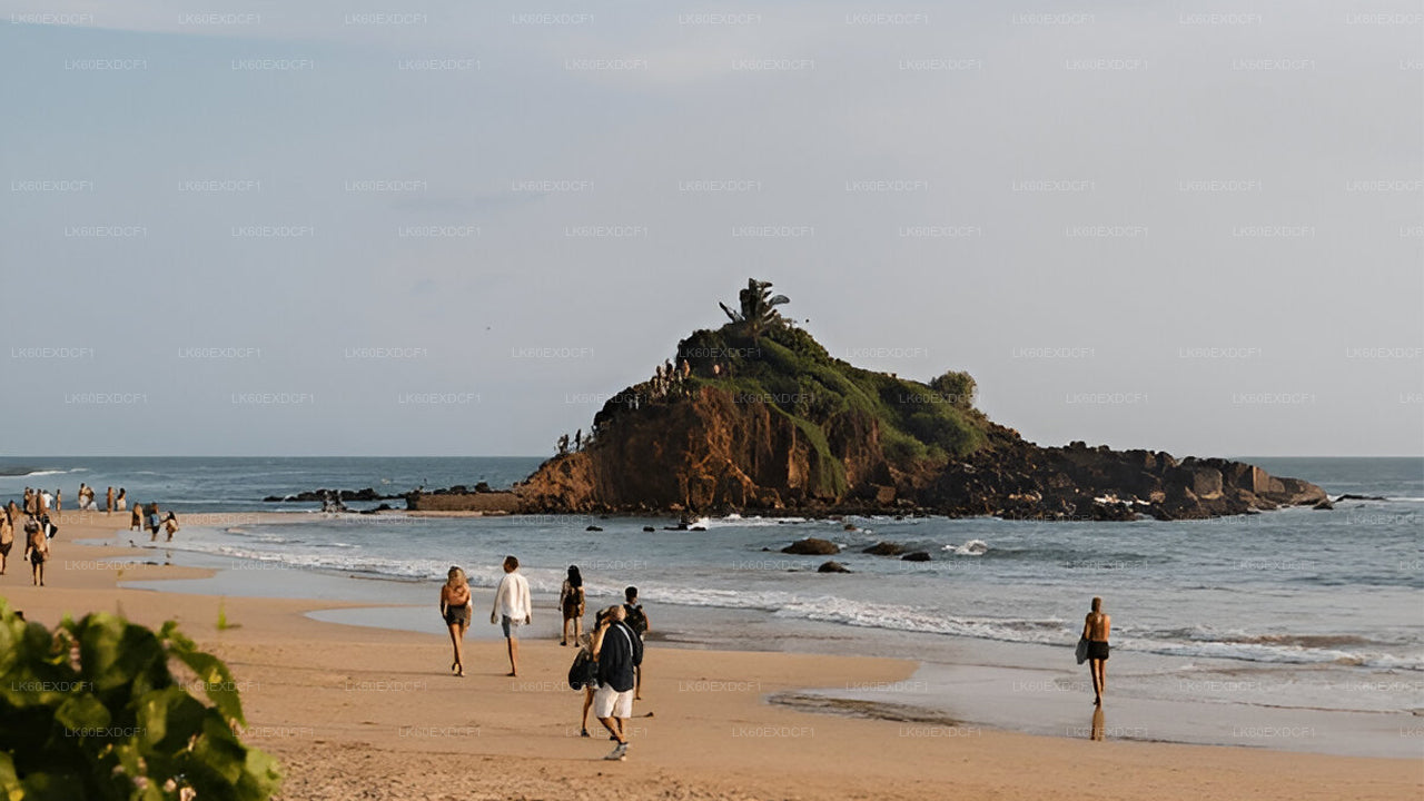 Private Tour from Ella to Mirissa with Udawalawe Safari