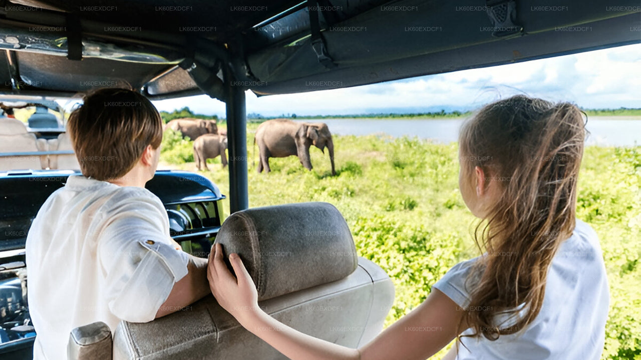 Private Tour from Ella to Mirissa with Udawalawe Safari