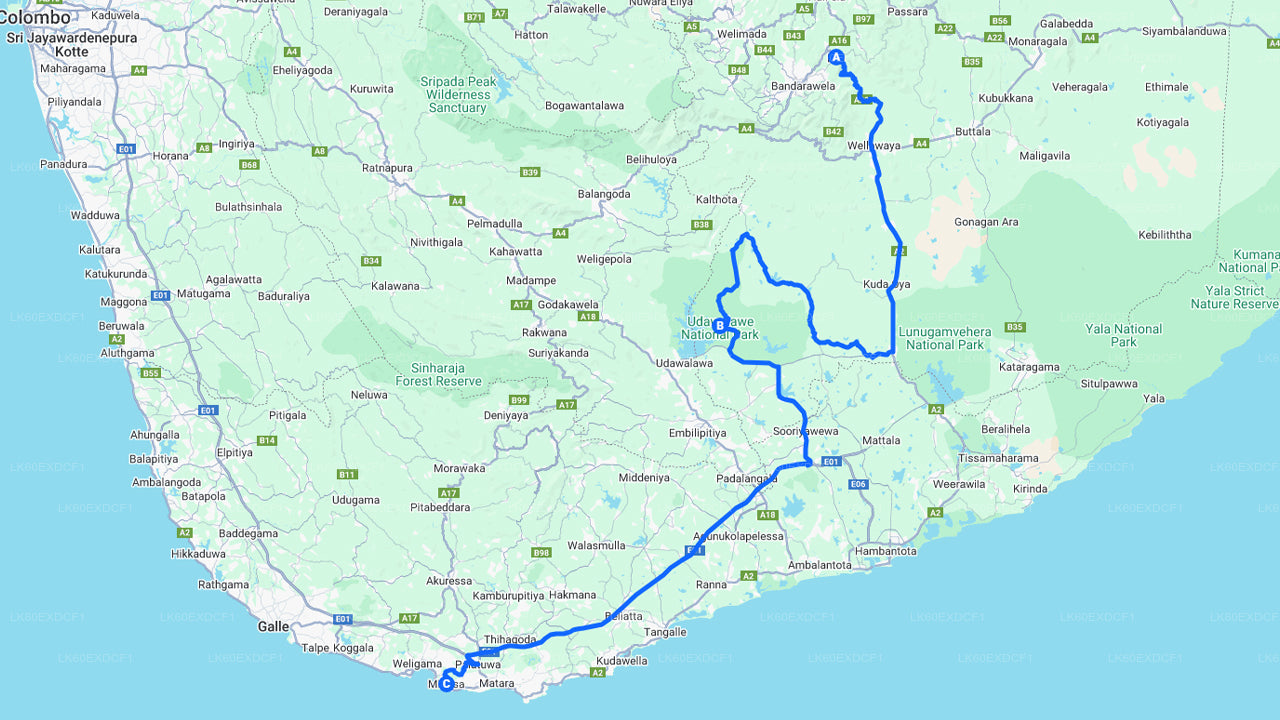 Private Tour from Ella to Mirissa with Udawalawe Safari