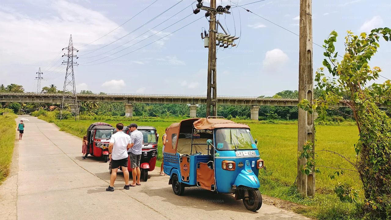 Tuk Tuk Safari from Tangalle