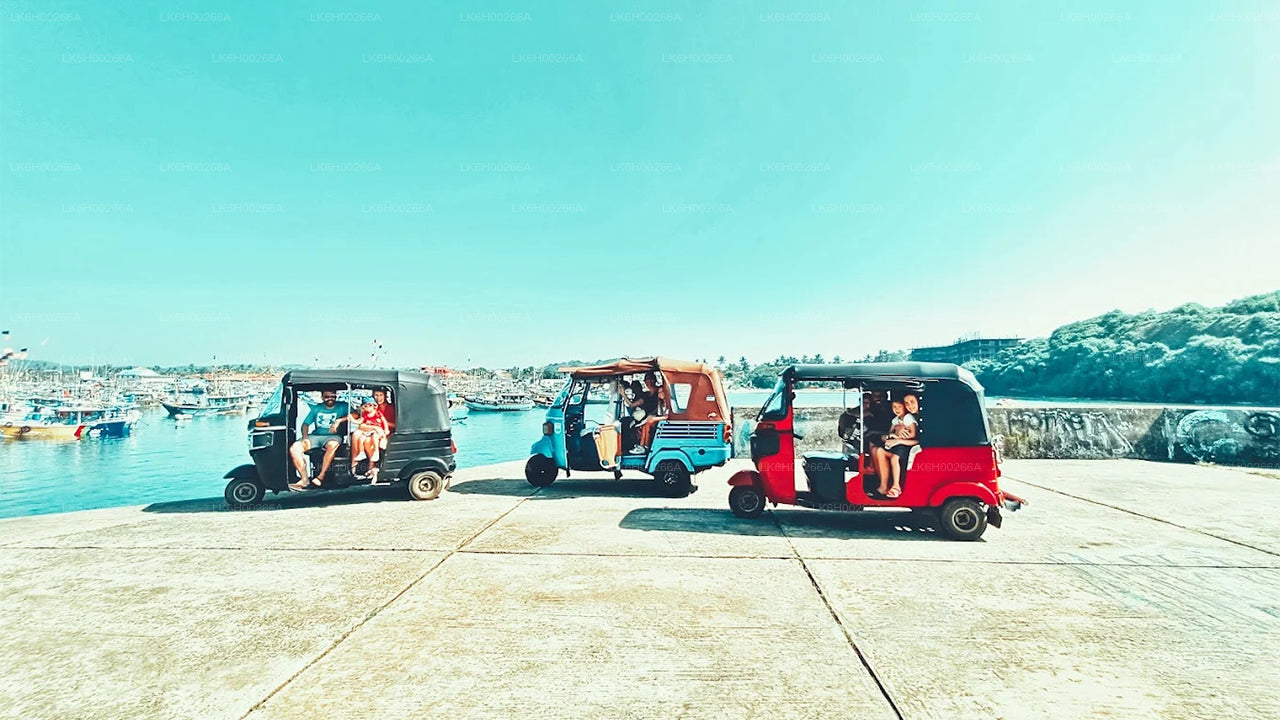 Tuk Tuk Safari from Tangalle