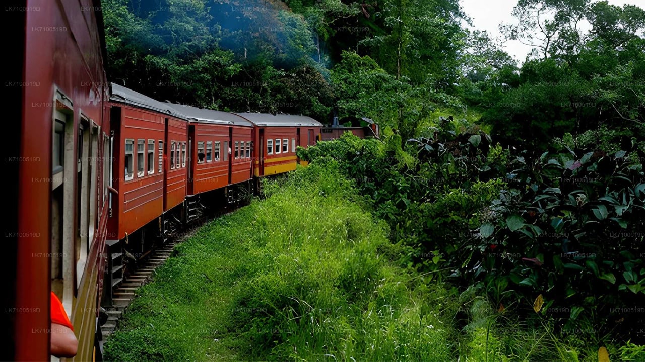 Ambewela to Ella train ride on (Train № 1005/1015)