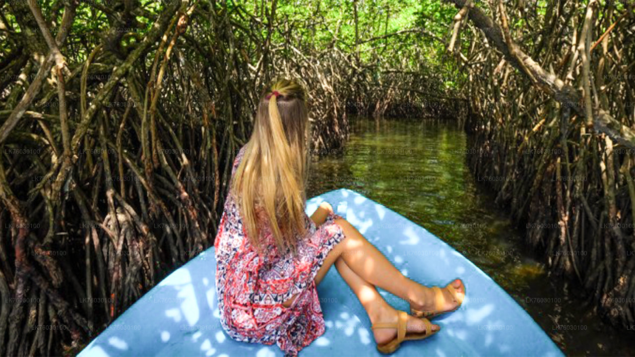 Bentota City Tour from Colombo