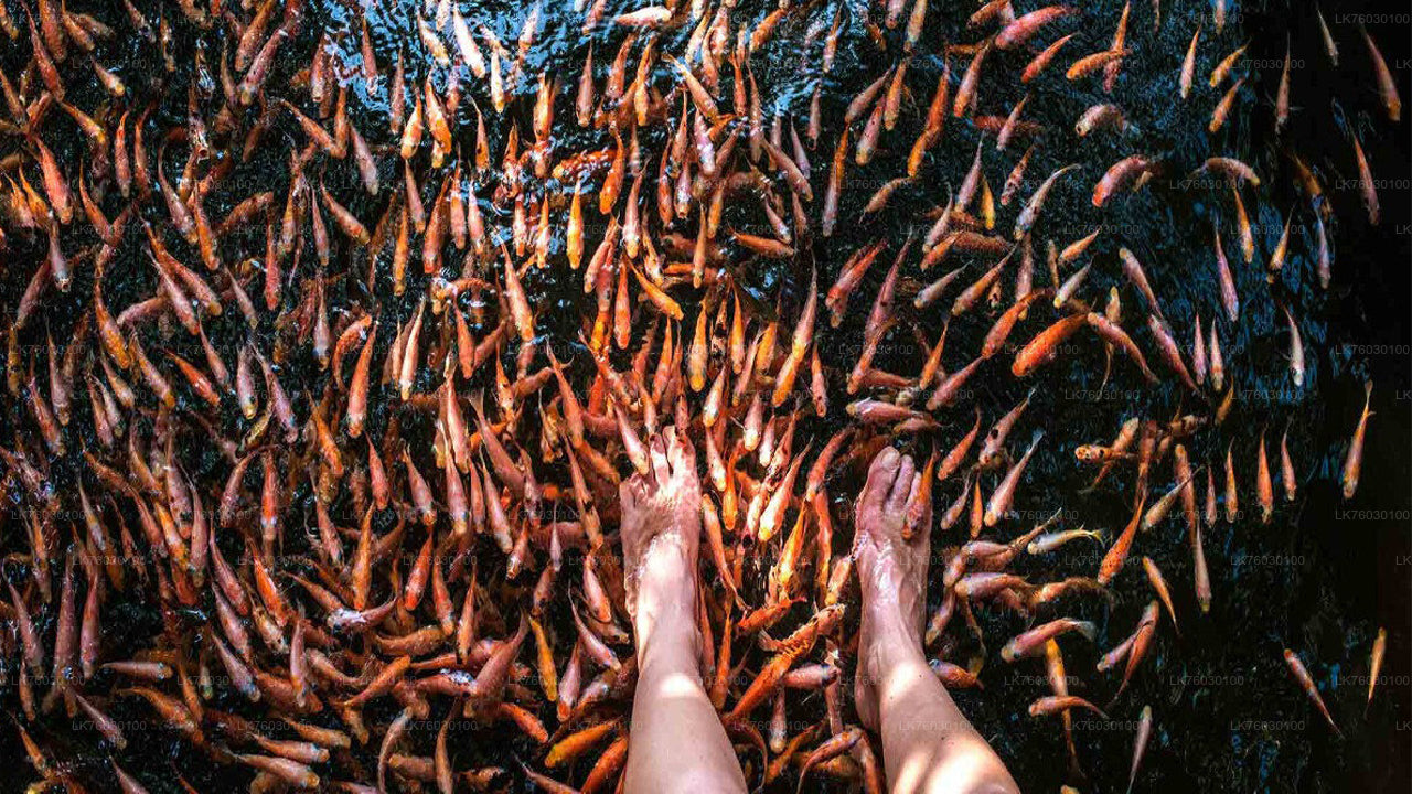 Madu River Boat Safari