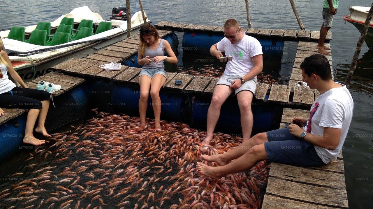 Madu River Boat Safari