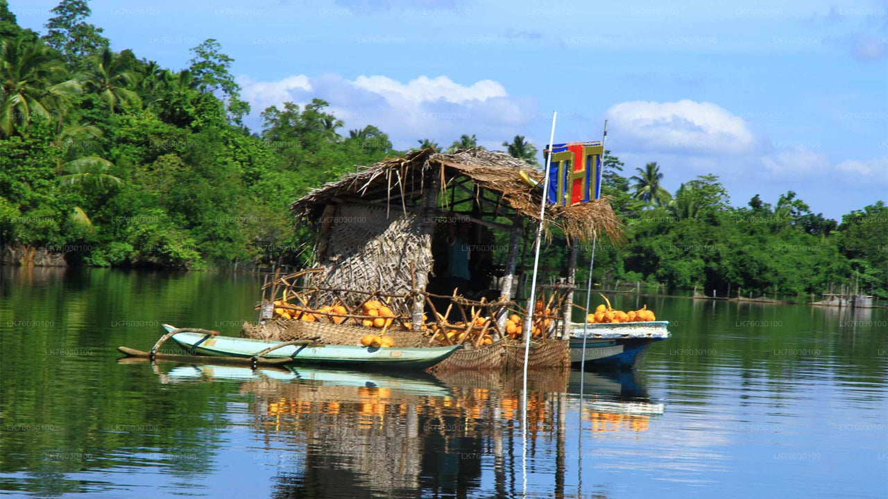 Madu River Boat Safari