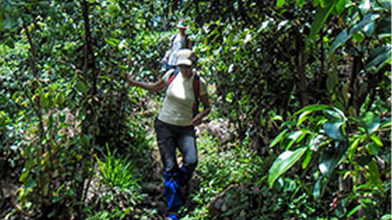 35Km Mountain Bike Day Ride from Galle