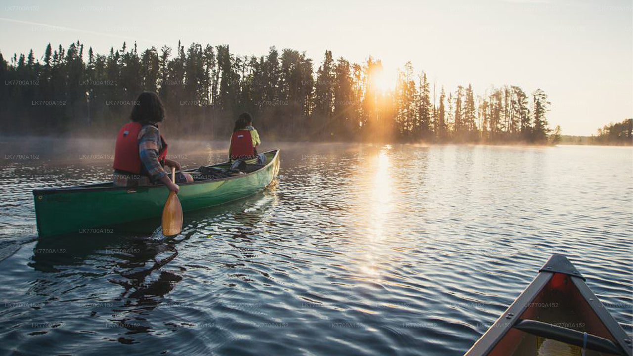 Lagoon Canoeing Tour From Galle