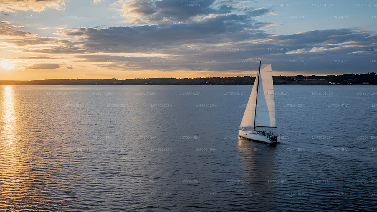 3 hour Shared Sunset Cruise from Galle