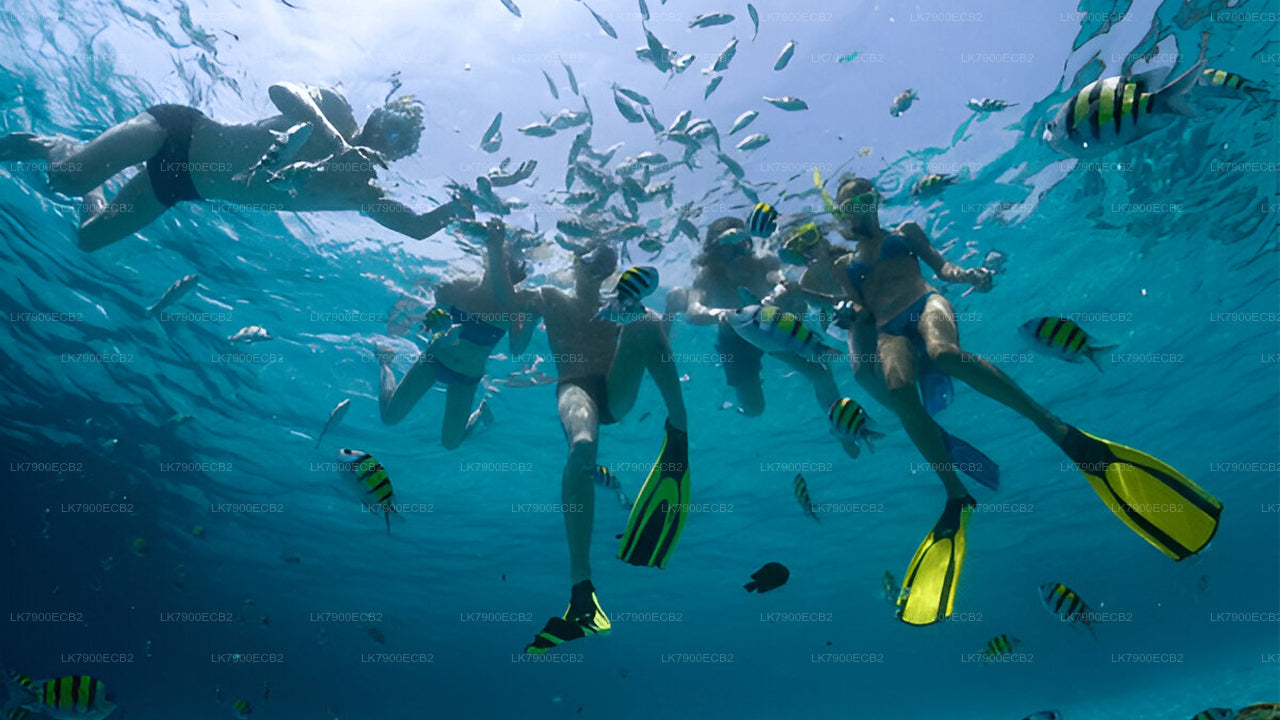 2-Night Cruise Experience from Mirissa on Ocean Diamond