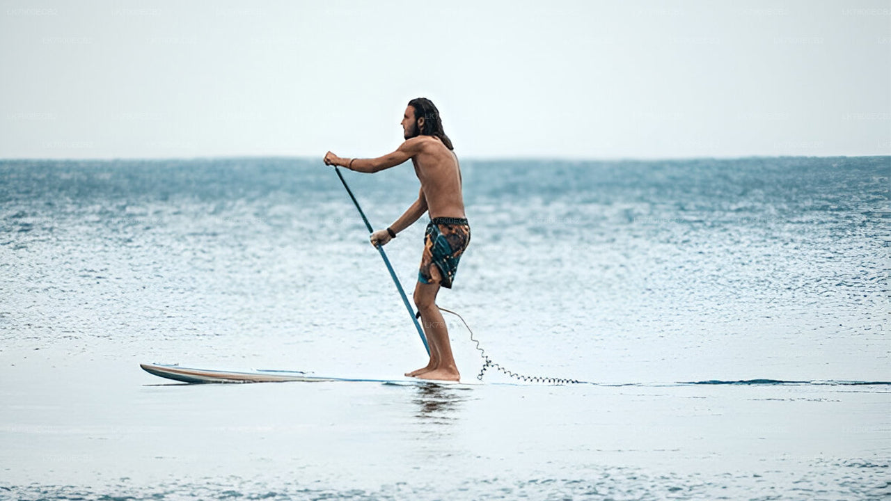 2-Night Cruise Experience from Mirissa on Ocean Diamond