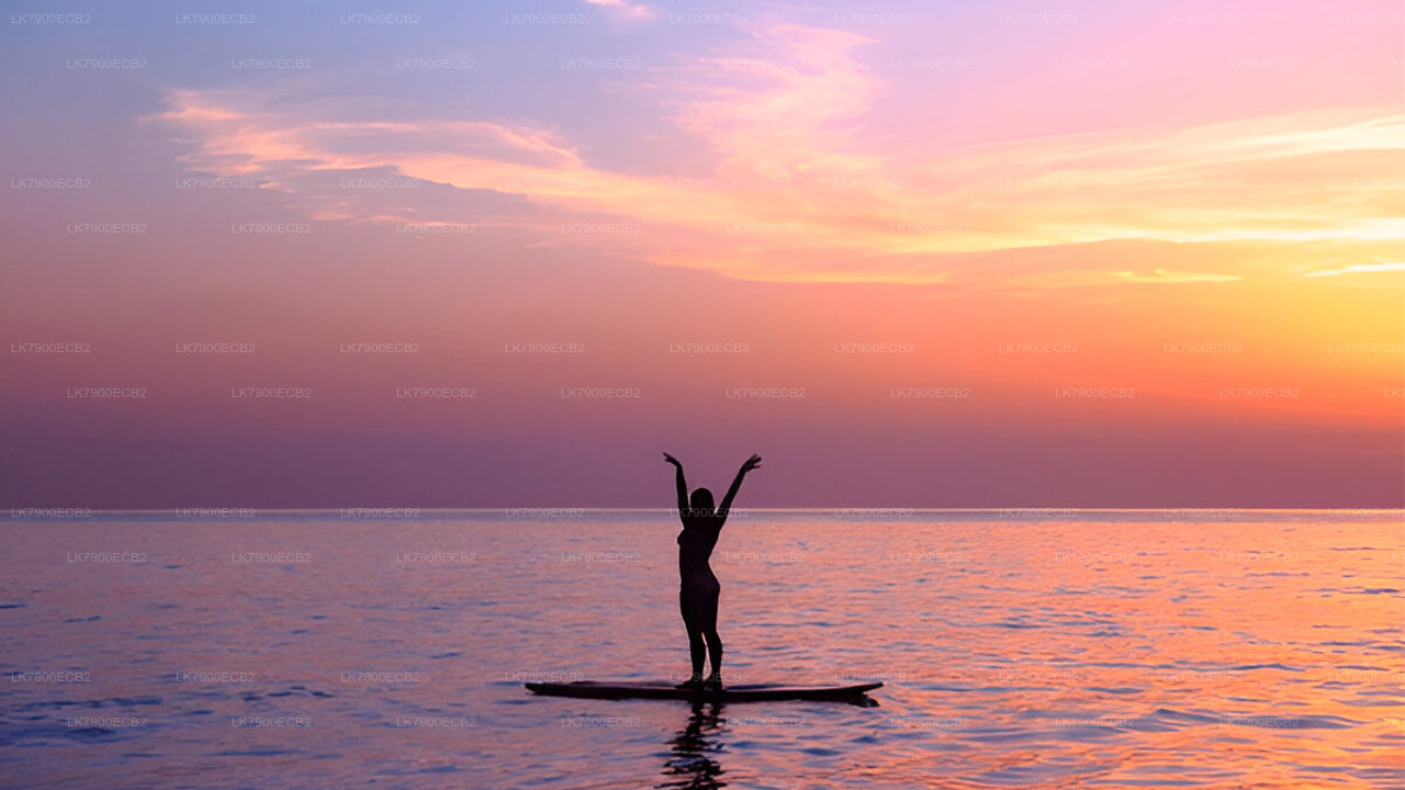 6-Night Cruise Experience from Mirissa on Ocean Diamond