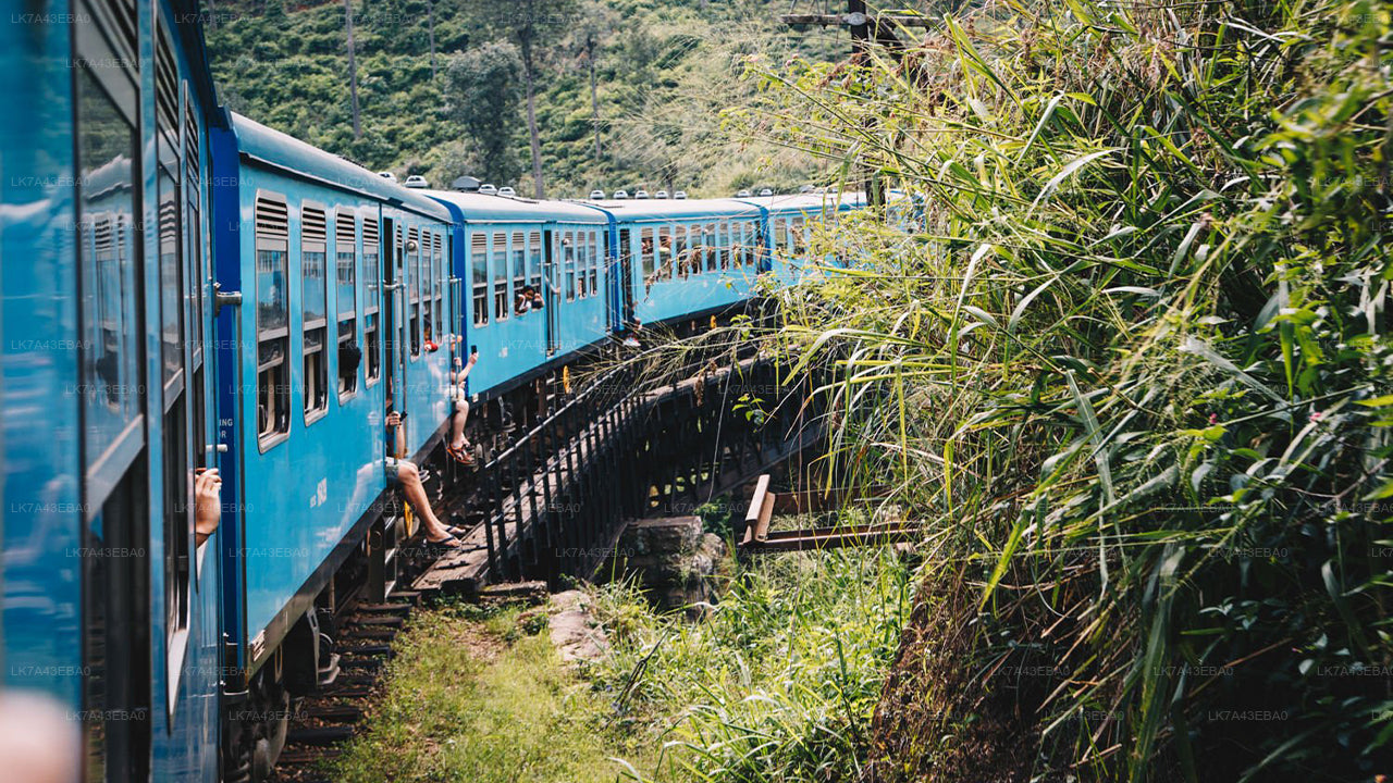 Train Ticket Reservation from Kandy