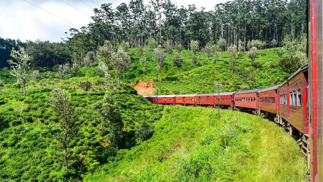 Train Ticket Reservation from Kandy