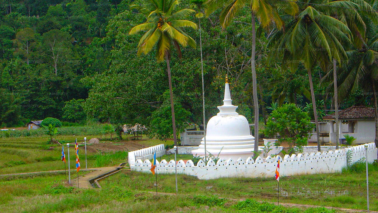 Hingula Village Safari and Honey Museum