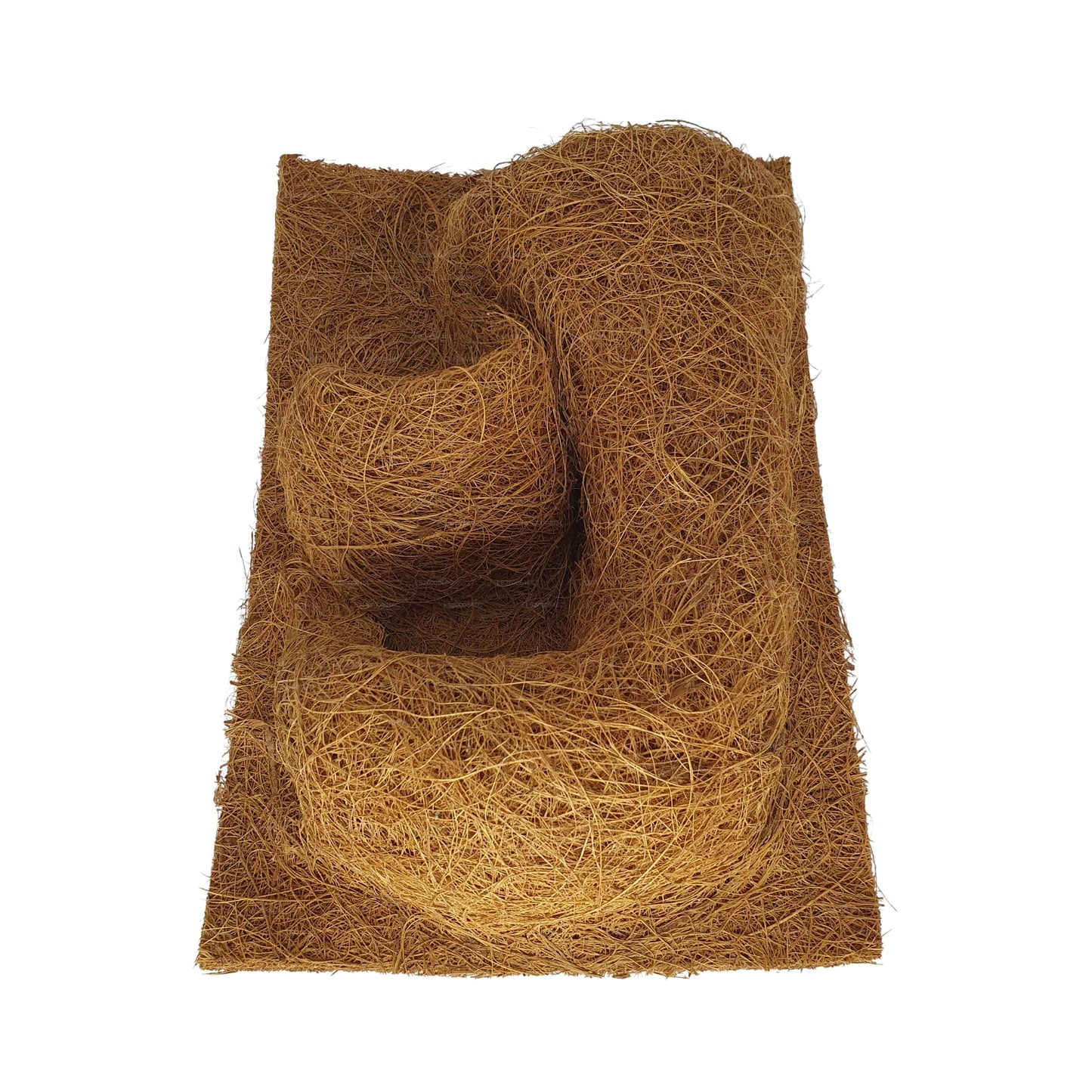 Bivenro Natural Coco Planting Background (20cm x 30cm)