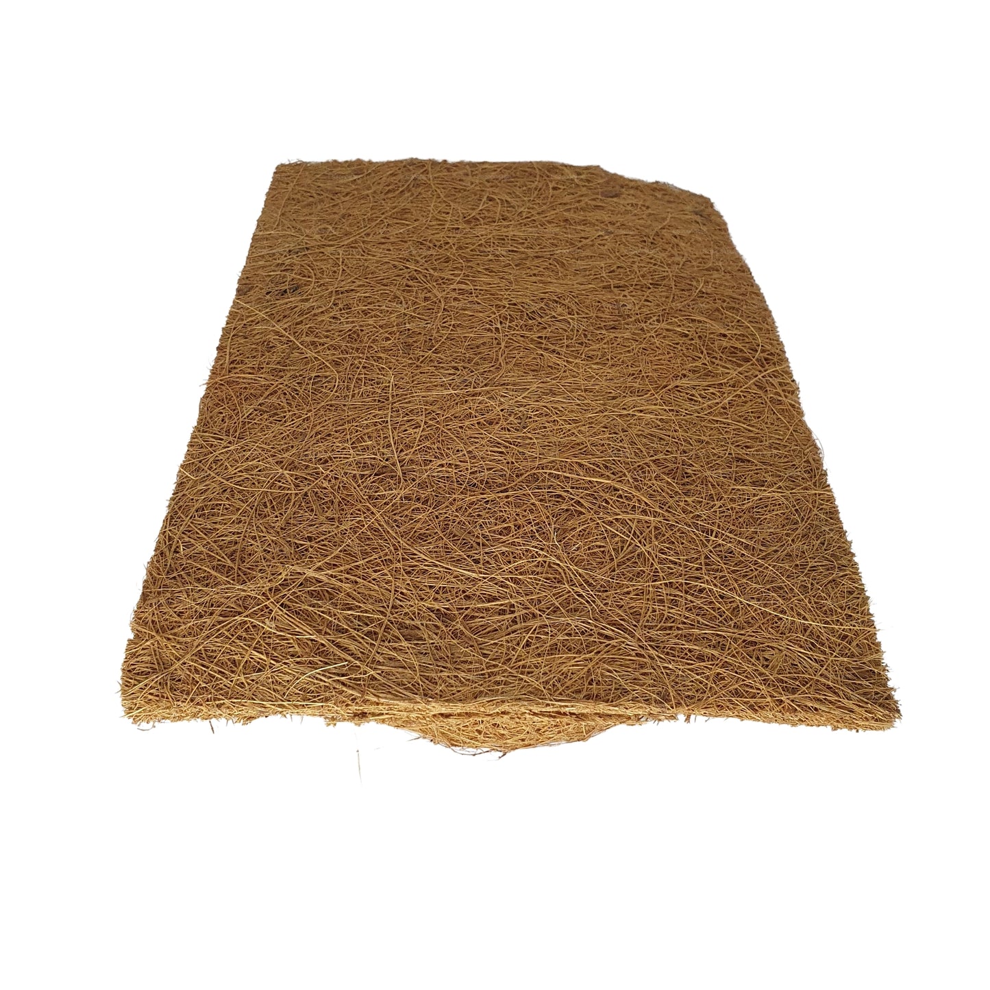 Bivenro Natural Coco Planting Background (20cm x 30cm)