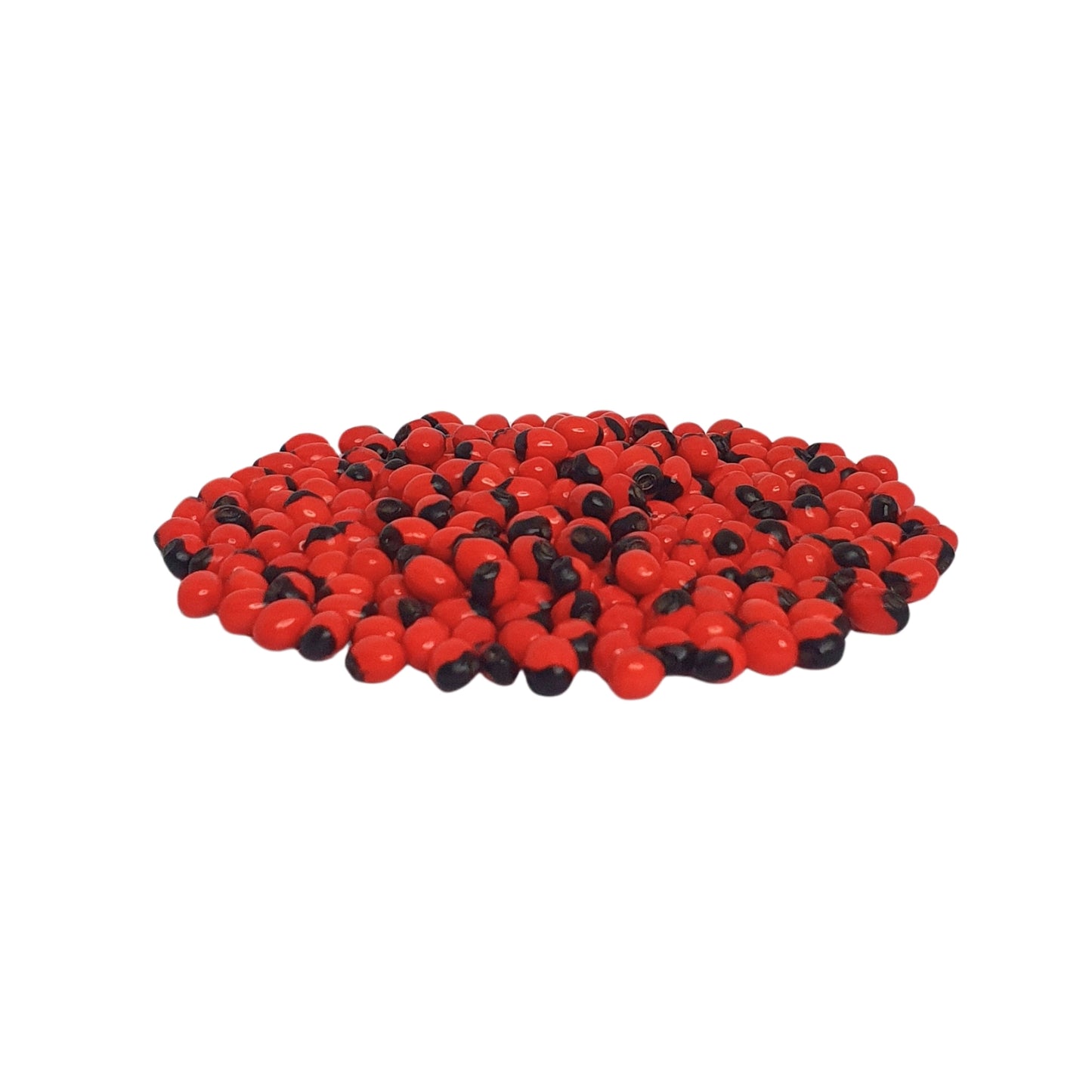 Lakpura® Olinda (Moroccan Abrus) Seeds