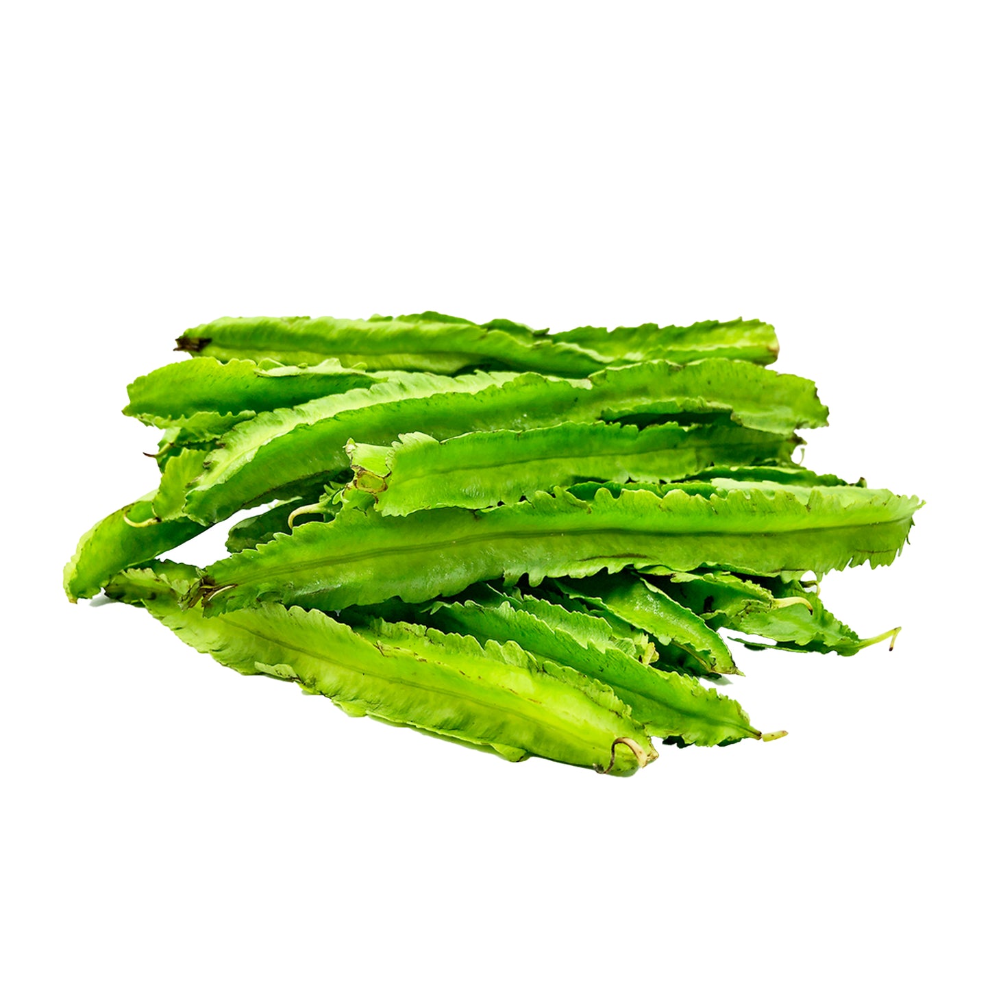 Lakpura® Winged Beans