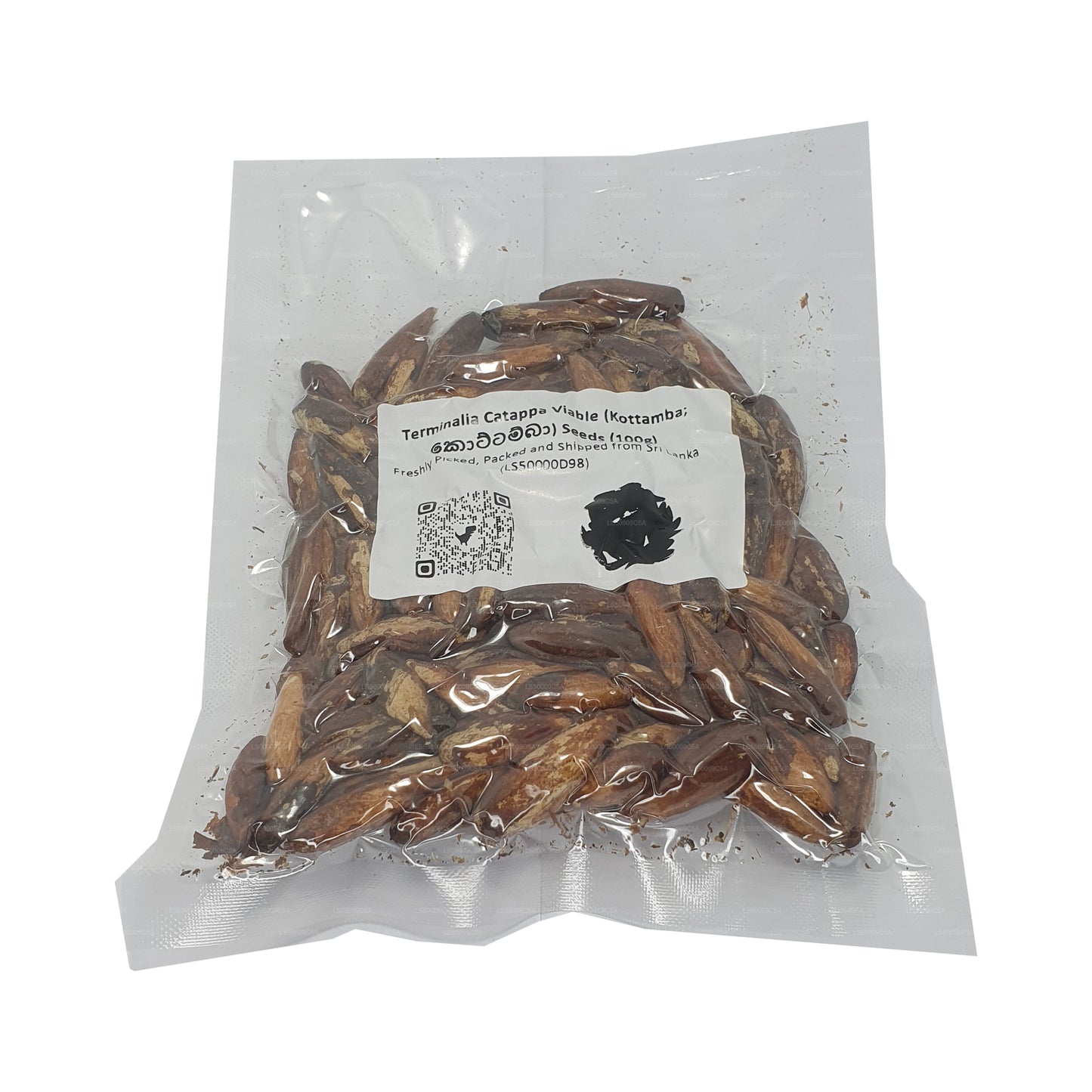 Lakpura® Terminalia Catappa Viable (Kottamba) Seeds