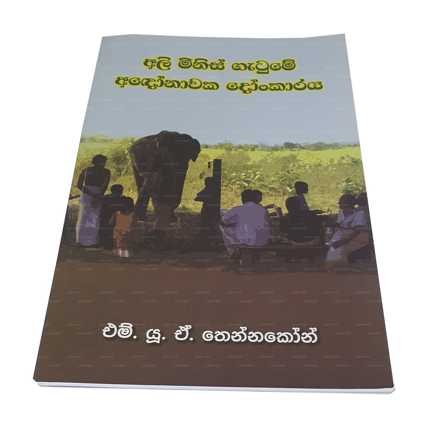 Ali Minis Gatume Adonawaka Donkaraya