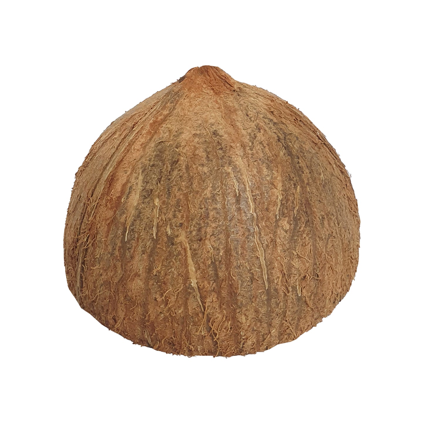 Lakpura® Coconut Shell Halves