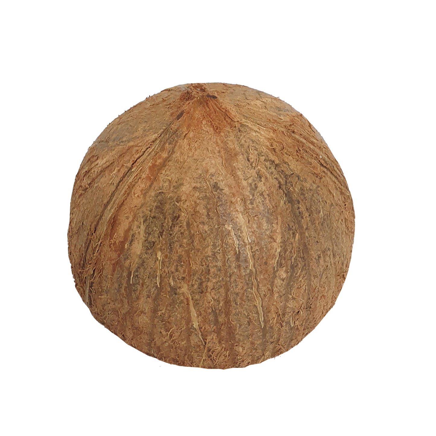 Lakpura® Coconut Shell Halves