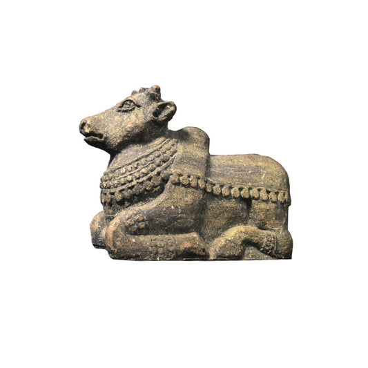 NHRC Nandi (Cow) - Polonnaruwa