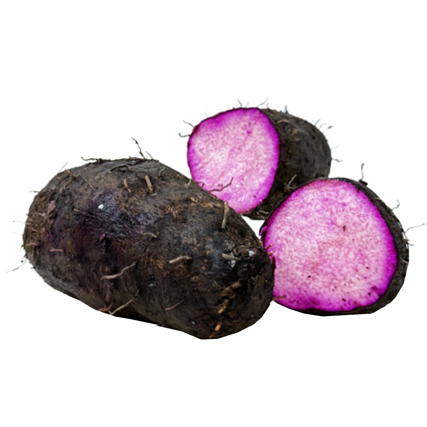 Lakpura® Purple Yam (Raja Ala)