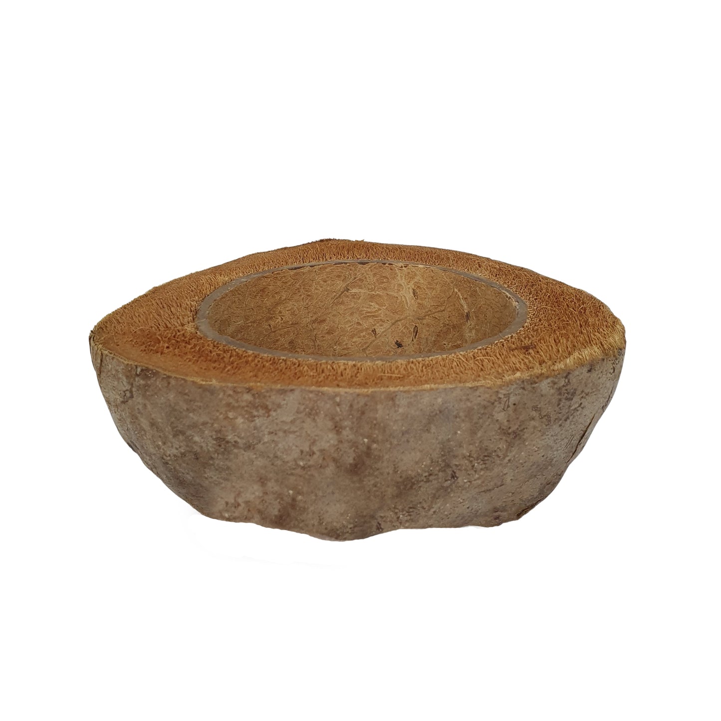 Bivenro Natural Coconut Planting Pot adds rustic charm for plants, flowers & terrariums. Eco-friendly, unique, and perfect for gardeners, decorators & pet habitats.