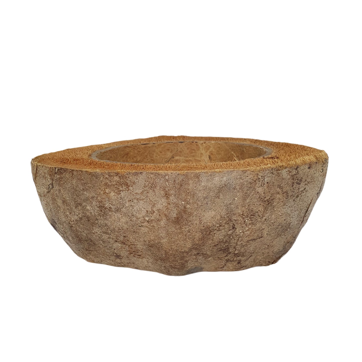 Bivenro Natural Coconut Planting Pot Design (Free Size)