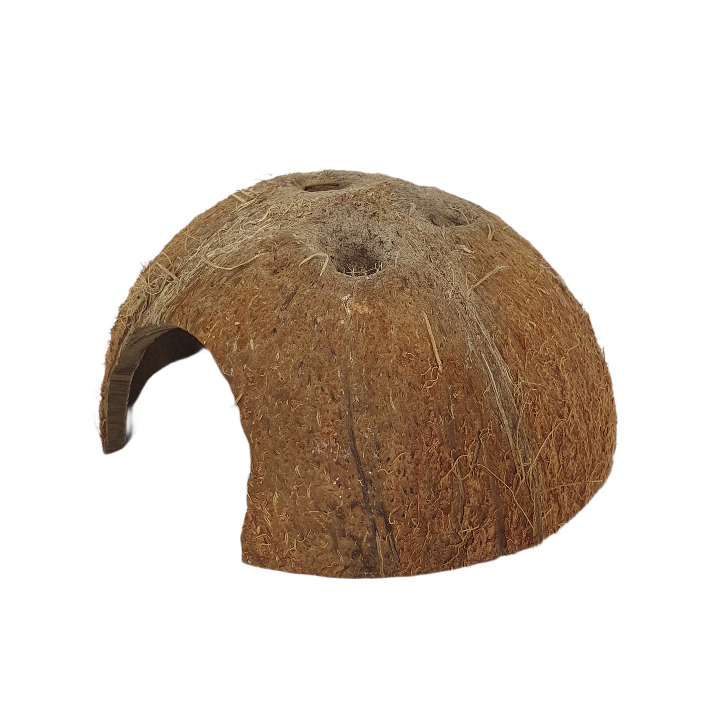 Bivenro Natural 1/2 Coconut Shell Cave (Free Size)